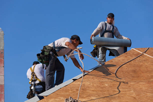 Best Metal Roofing Contractor  in Vaughn, WA